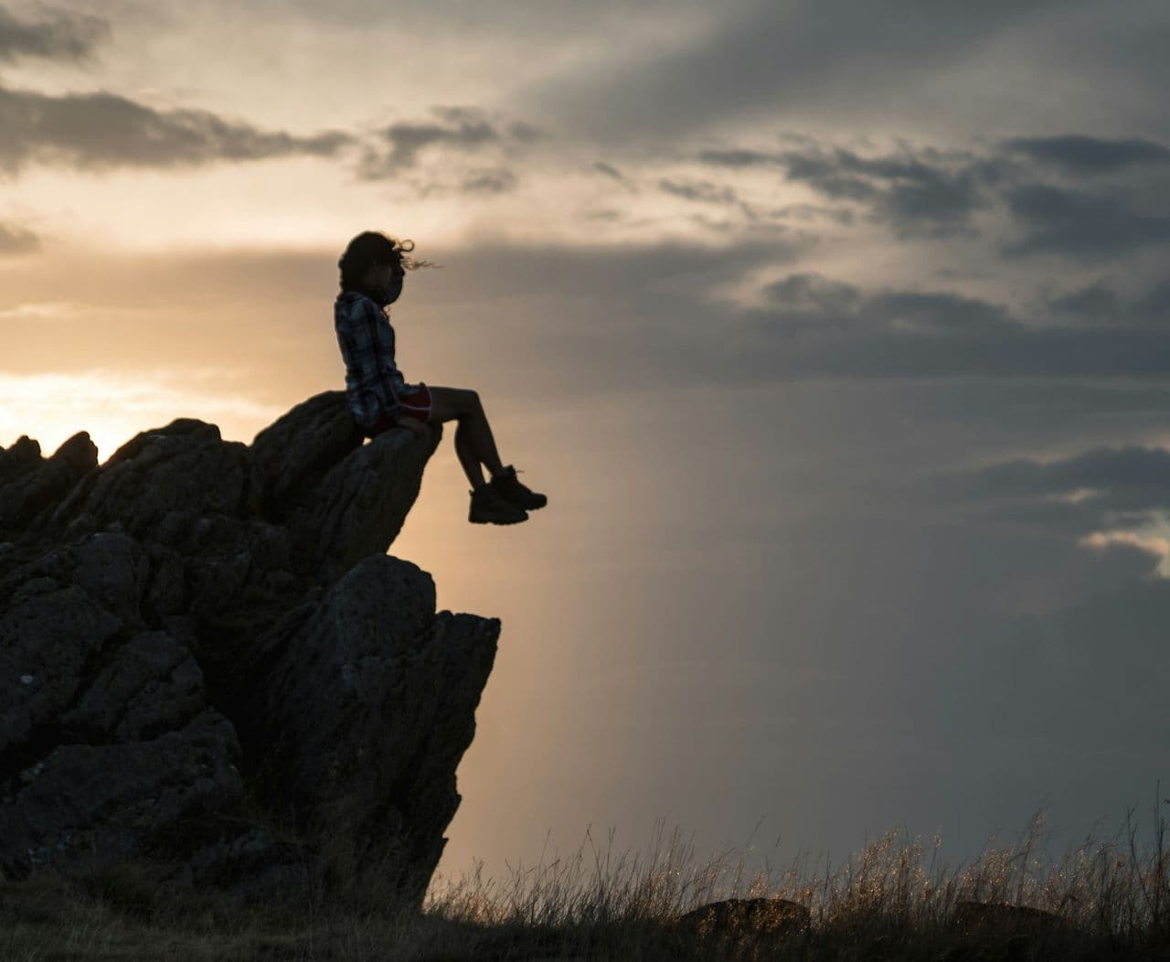 hoe-je-jouw-vissenbrein-toch-kunt-leren-stress-te-verminderen-hero